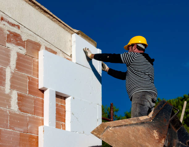 Best Attic Insulation Installation  in Denmark, WI