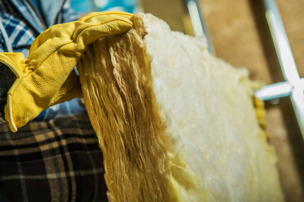 Best Crawl Space Insulation  in Denmark, WI