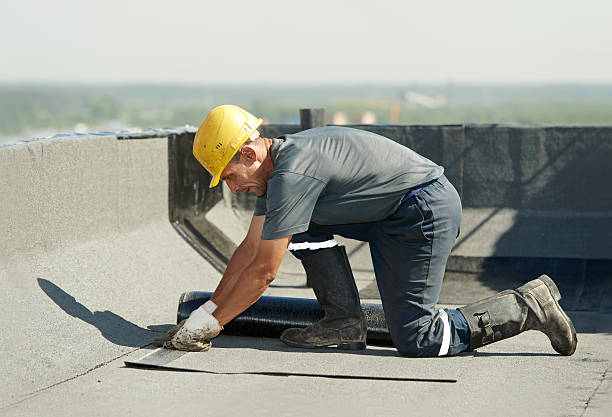 Best Spray Foam Insulation  in Denmark, WI