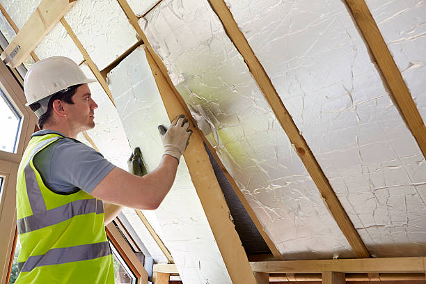 Best Energy-efficient Insulation  in Denmark, WI
