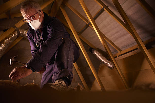 Best Professional Insulation Contractor  in Denmark, WI