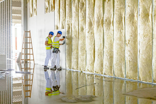 Best Insulation Removal  in Denmark, WI